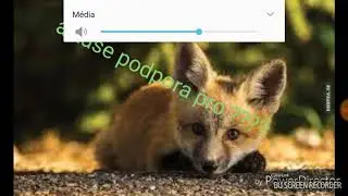 Podpora pro BatmanCZ YT