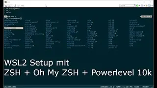 Wie man WSL2, ZSH, Oh My ZSH und Powerlevel10k einrichtet | HOWTO