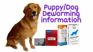 Dog Deworming information in hindi#doguniquecafe