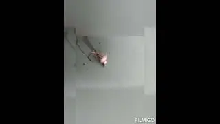 Pasca a ninfa torrente Dolo e Rossi c'&egrave; 😂😂