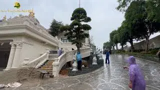 2 siêu phẩm Tùng La Hán Nhật đã được rinh về biệt thự Phú Thọ thành công