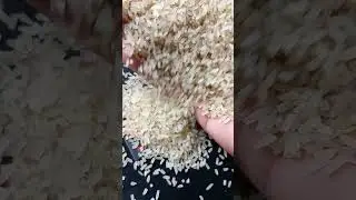 1509 Sella B-2 Creamy Basmati Export Quality 🩸 HASEEB RiCE TRADERS ⭐
