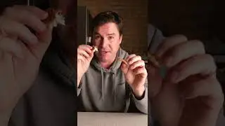 Sam&rsquo;s Club Seafood Review