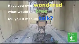Z- Palm Tree (Do your Bit winner project 2020 - Middle East)
