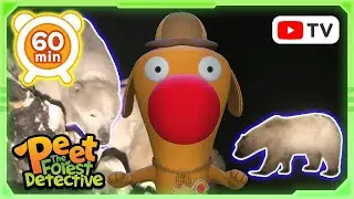 The Drowning Mantis Mystery 🐜🌊  | Animal Stories For Kids | Peet The Forest Detective