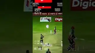 Unbelievable Catches by Wicket keeper 💪 in Cricket History 💥 #cricket #shorts