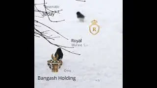 Royal Hotel Apartments | Bangash Holding | Murree Apartments