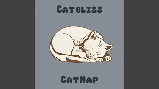 Whisker Bliss for Cats