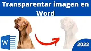 C&Oacute;MO TRANSPARENTAR IMAGEN EN WORD