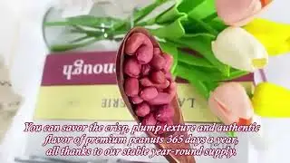 Factory Price Peanut 📧：Ellen@sxjiemaotong.com☎️：+ 86 18634398249（WhatsApp/Wechat）