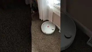 Which Robot Vacuum Wins the Carpet Test? Roborock or Dreame
