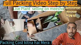 Live Plant Packing For E-commerce | Meesho | Amazon | Flipkart 