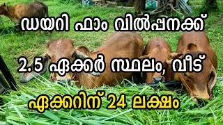 Running diary farm for sale near Poothadi
