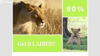 Fun Fact Friday