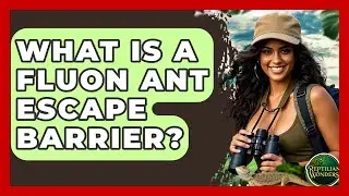 What Is A Fluon Ant Escape Barrier? - Reptilian Wonders