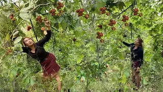 Primitive life! Cute girl meets many wild fruits in tropical forest