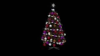 Christmas Tree-FOOTAGE-1