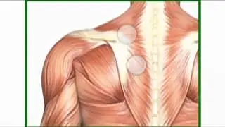 HOW TO massage your back with a KaddyBACK & golf ball