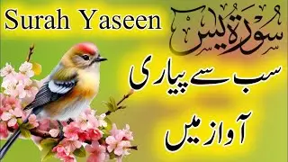 💞Surah Yaseen 💞 यासीन शरीफ 💞 Quran Chapter 💞 Yaseen Sharif 💞 Yaseen Surah Full 💞 Yasin Sharif