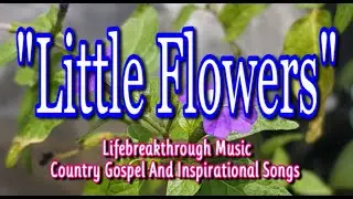 LITTLE FLOWERS ( Christian Music by #lifebreakthrough)