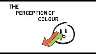 The perception of colour