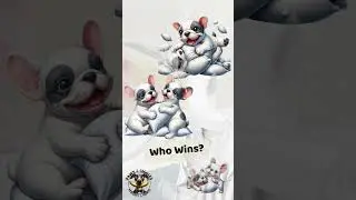 💥 Epic Frenchie Pillow Fight | Cute French Bulldog Puppies 🐾🤣  #pawsandgiggles #thefrenchies