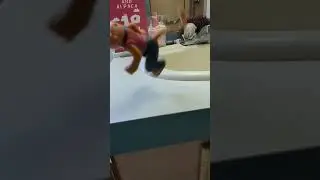 #shorts Kung Fu Panda's Tigress Backflip Toy In Slow Motion 😐😮