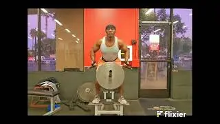 Standing T Bar Platform T Bar Facing Forward Two Hand Middle Grip T Bar Row