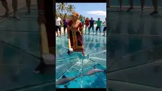 A woman destroyed the shark nursery pool ‼️⚠️🦈🐋 AI generated