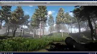 Unity environment (Level 3 Games course)