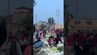 Vegetables market in Nepal 🇳🇵 #shorts#ytshorts#nambindb #viralshort #tranding #vegetablesmarket