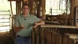 Selling the Farm