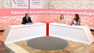 Assessment of cardiotoxicity beyond echocardiogram