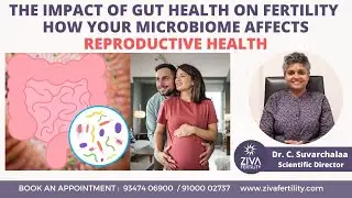 Gut Health And Fertility | How Gut Health Can Influence Fertility  | Dr C Suvarchala | ZIVA