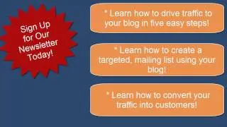 Blog Traffic Guru Optin Form