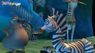 Madagascar | Episode 8 Coming of Age | ZigZag Kids HD