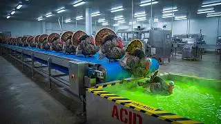Roast Turkey Factory Exposed – Millions Made Every Day