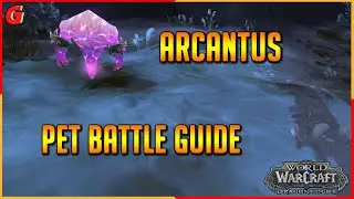 Arcantus Pet Battle Guide - Dragonflight