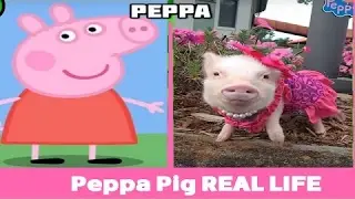 Peppa Pig REAL LIFE  ALL characters [Mr Adsion]
