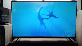 Avatar: The Way of Water - Freeform Credits