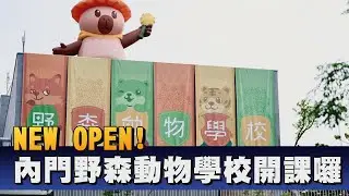 內門野森動物學校117啟用 近距離與動物互動