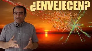 &iquest;Envejecen las part&iacute;culas?