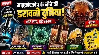 Amazing Microscopic Images of small animals।रोचक तथ्य #facts #animal