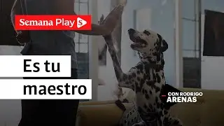 Tu perro es tu mejor maestro | EduCANdo Manadas con Rodrigo Arenas - Semana Play