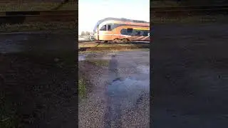 Elron Stadler Flirt Sm5 Arriving To Rakvere, Estonia