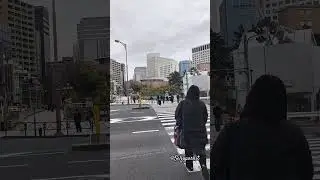 Yotsuya Station Street Crossing, Tokyo Japan