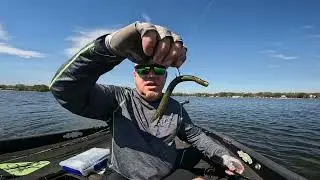 Vector Hooks wacky hooks. #vectorhooks #bassfishing