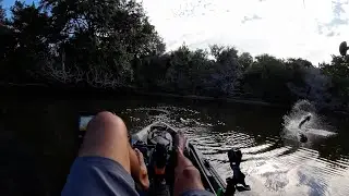 Hot Summer Snook Bite @ Tomoka Marsh Basin | Kayak Fishing