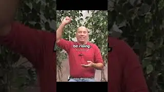 Bashar on low vibrational frequencies