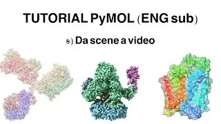 Tutorial PyMOL: Da scene a video (ENG sub)